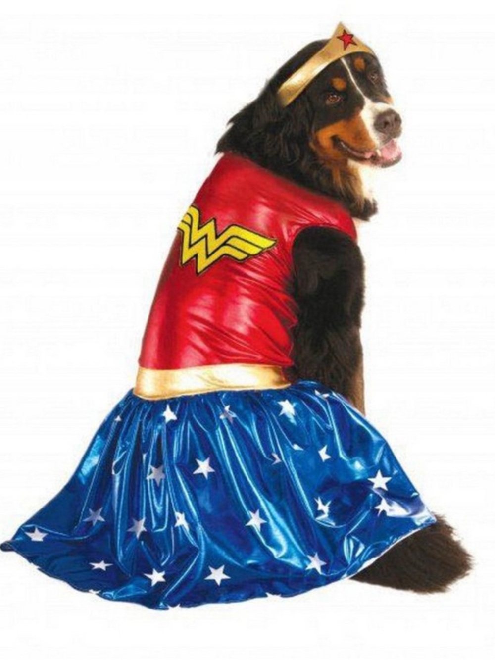 Classic Red & Blue Superhero Dog Dress with Gold Accents